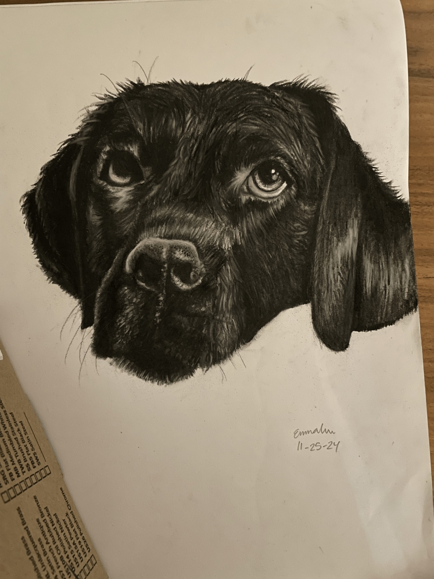 Black dog portrait drawing