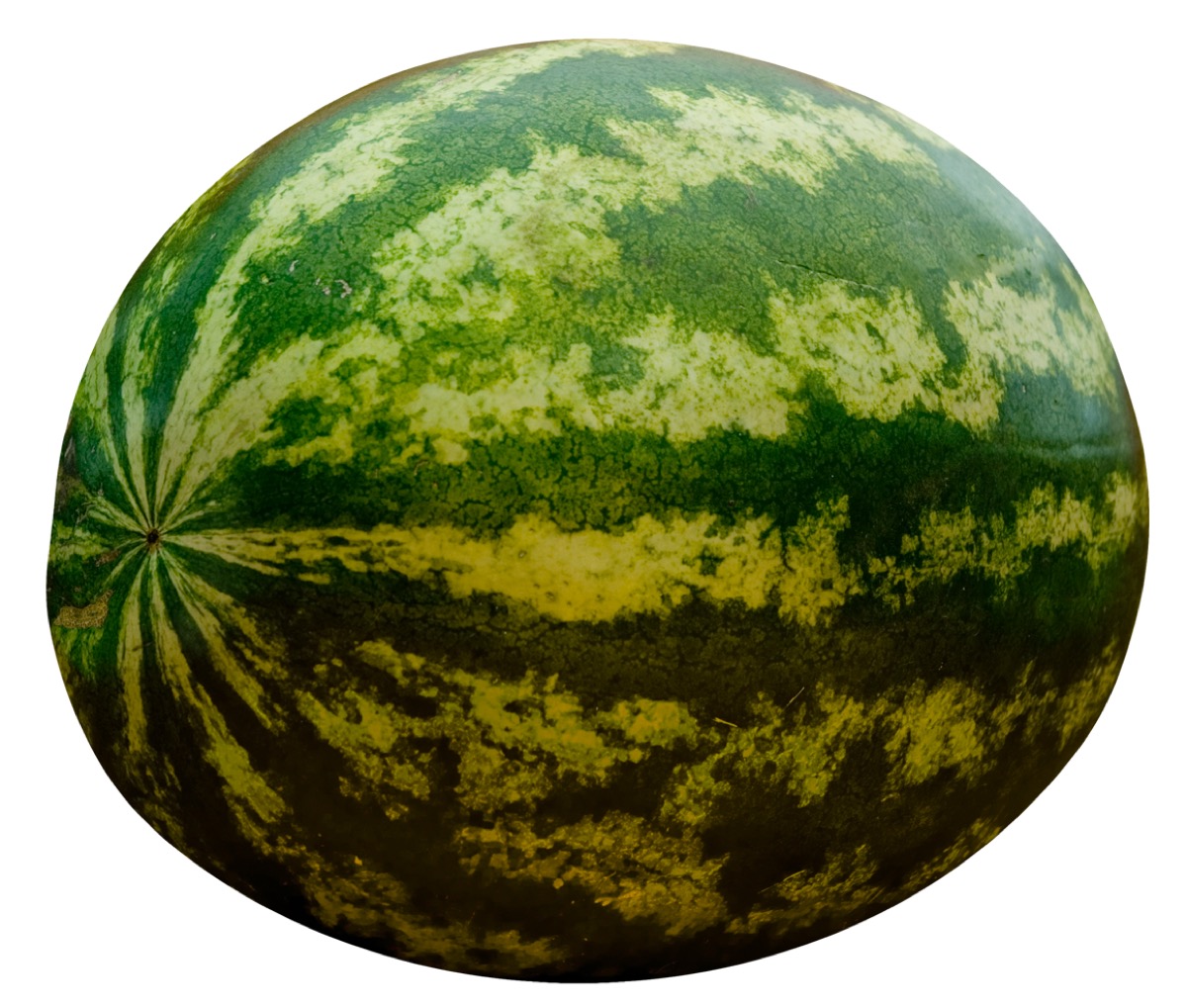 Watercolor painting of a sliced watermelon