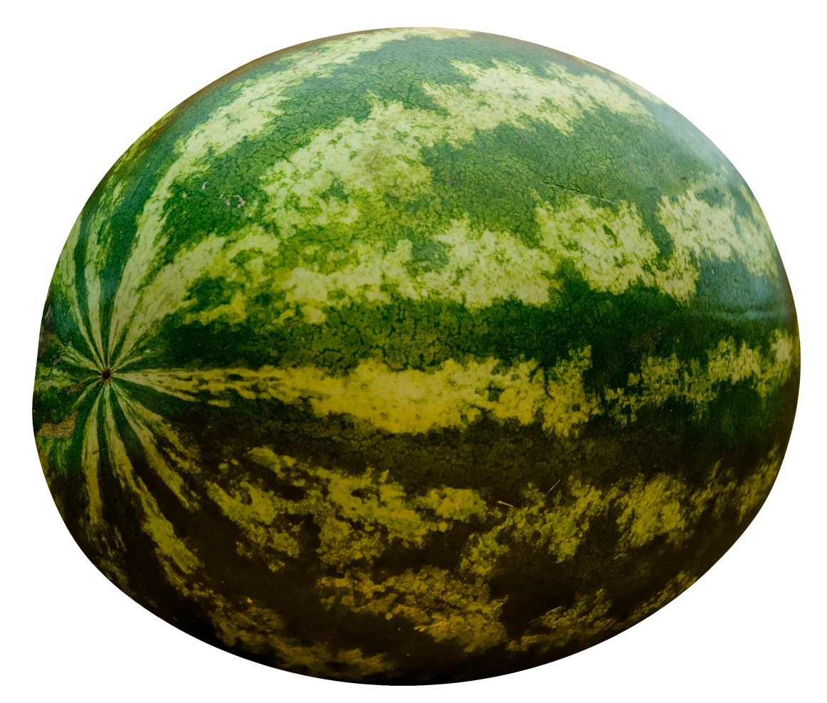 Placeholder watercolor of a sliced watermelon